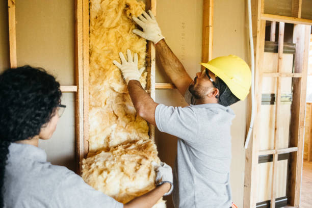 Best Affordable Insulation Services  in USA